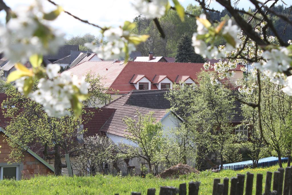 Penzion U Rudolfů Vlasenice Exterior foto